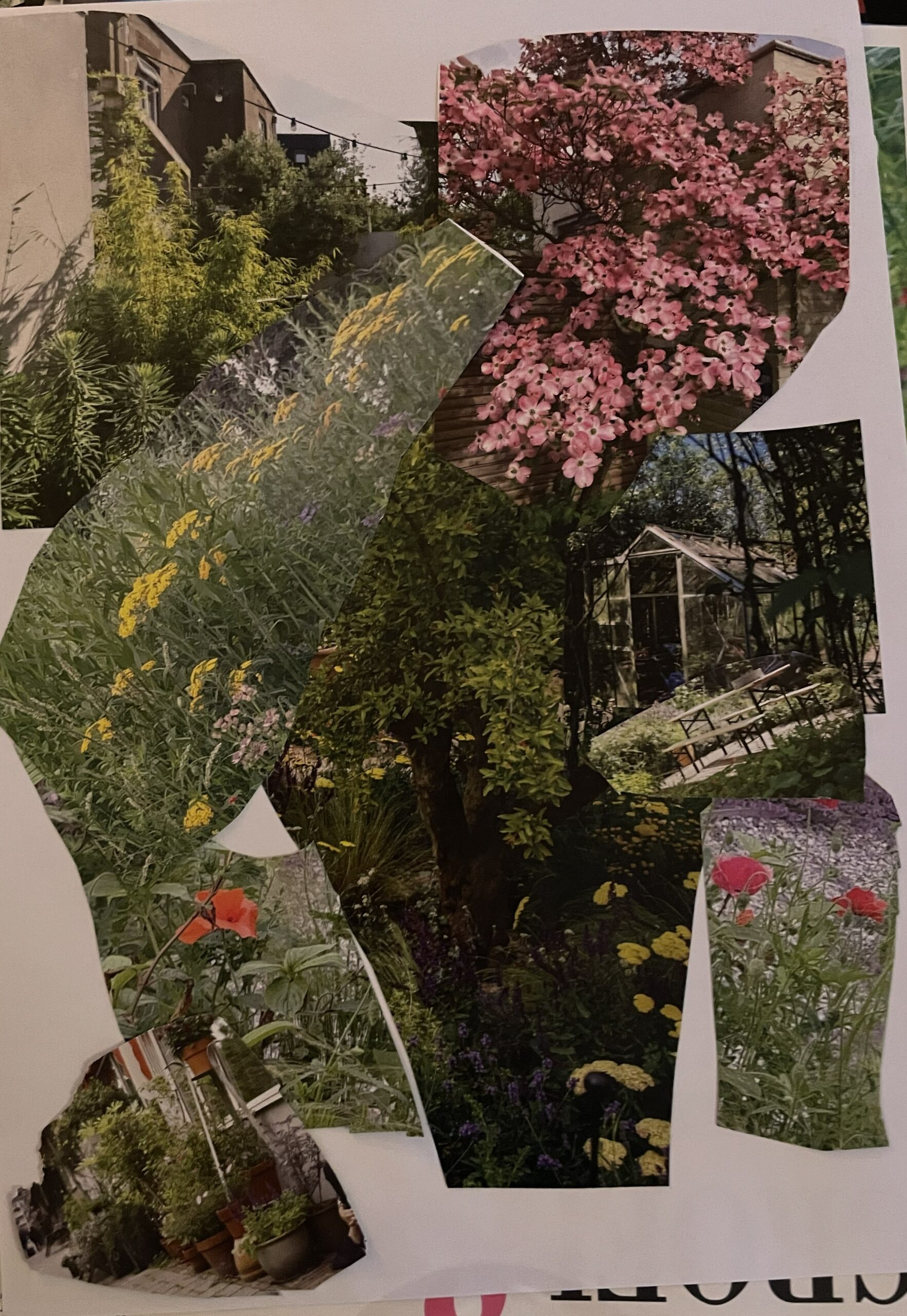 Stadsboomgaard moodboard1