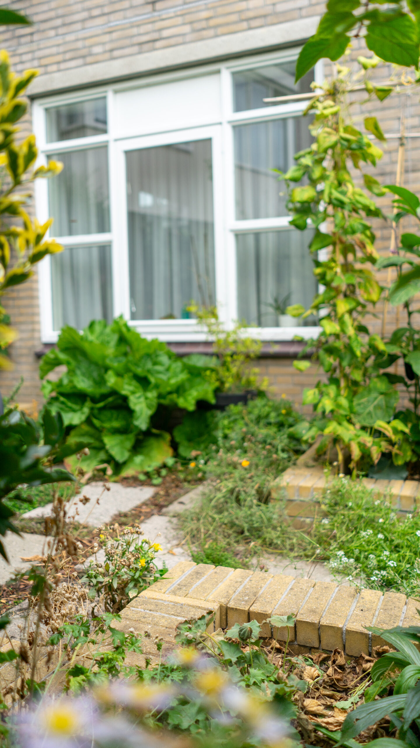 Eetbare voortuin touwslagersgang 3 3