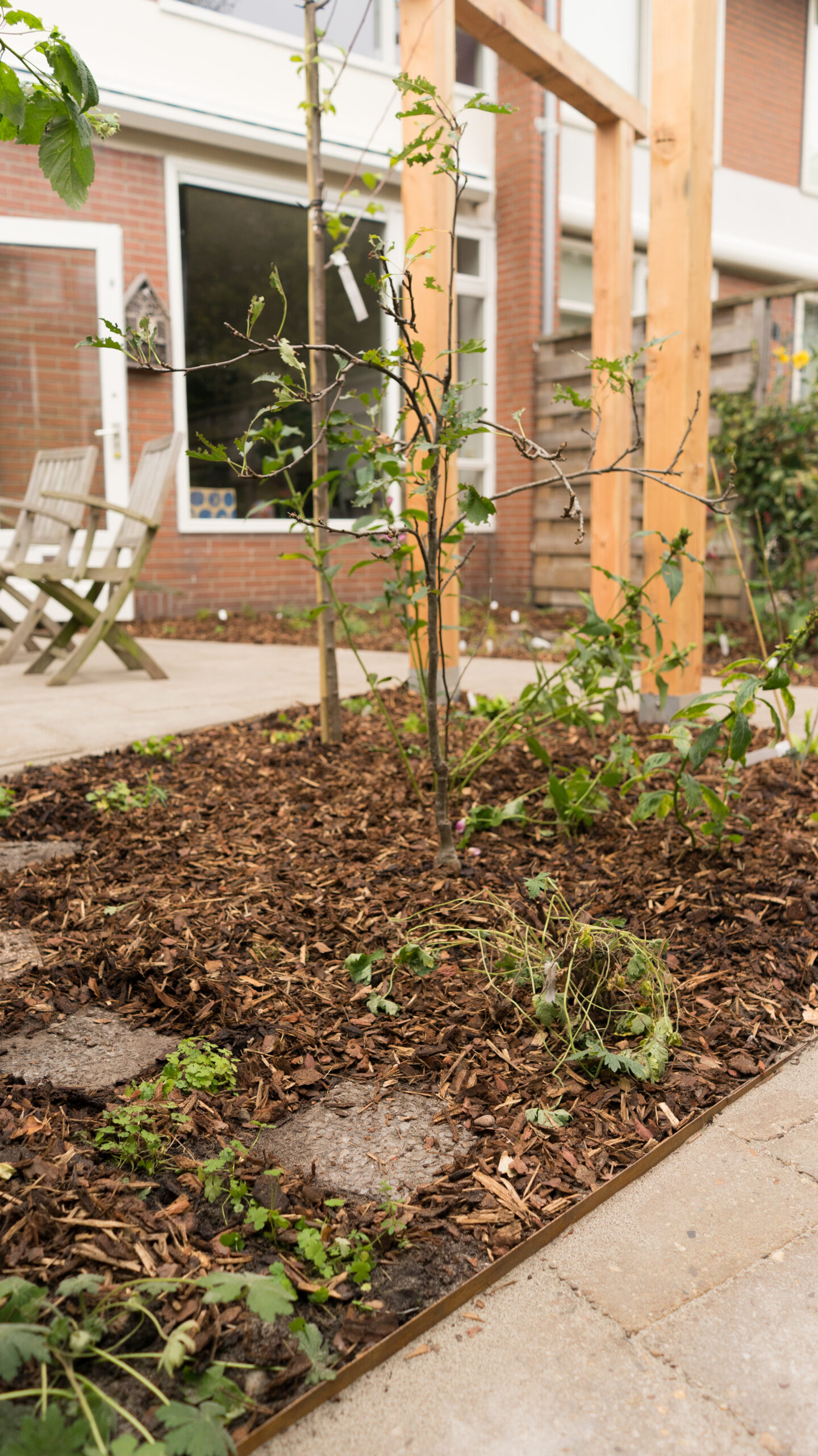 Vogelvriendelijke tuin diepenbrocklaan 17