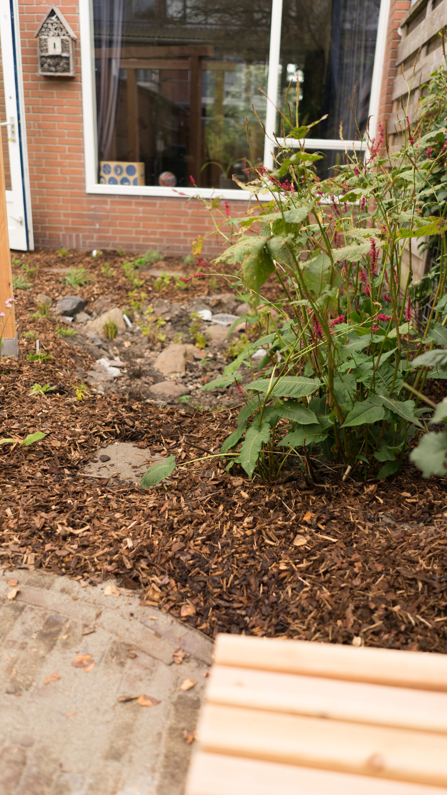 Vogelvriendelijke tuin diepenbrocklaan 32
